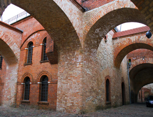 Activity Highlights in November 2025