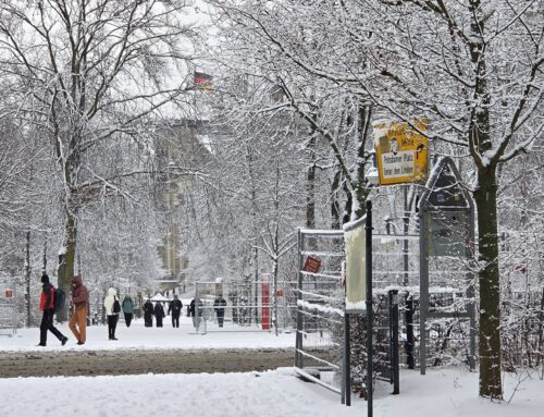 Activity Highlights in February 2026